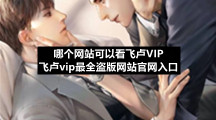哪个网站可以看飞卢VIP 飞卢vip最全盗版网站官网入口