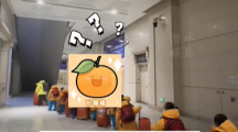 抖音短视频app专区南方砂糖橘是什么意思 南方砂糖橘梗介绍