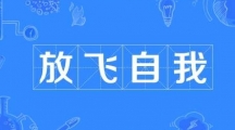 网络用语放飞自我是什么梗