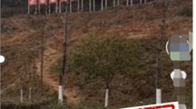 网络谣言每日辟谣（2024.3.12）：重庆市秀山县凤凰山公园把原有树木挖了来搞植树节
