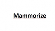 Mammorize