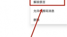 《最右》群聊解除群成员禁言解除流程介绍
