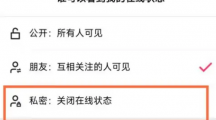 《快手极速版》关闭在线状态具体操作教程