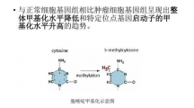 抖音啃甲DNA是什么梗