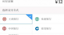 《铁路12306》候补兑现成功最新付钱方式