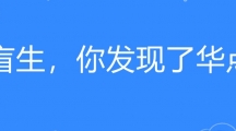 网络用语盲生，你发现了华点是什么梗