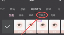 《Wink》双眼皮特效具体操作教程