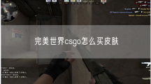 《完美世界》csgo如何买皮肤