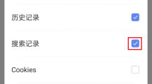 《vivo浏览器》清除搜索记录详细操作方式