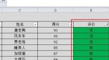 《Excel》颜色筛选功能详细操作流程