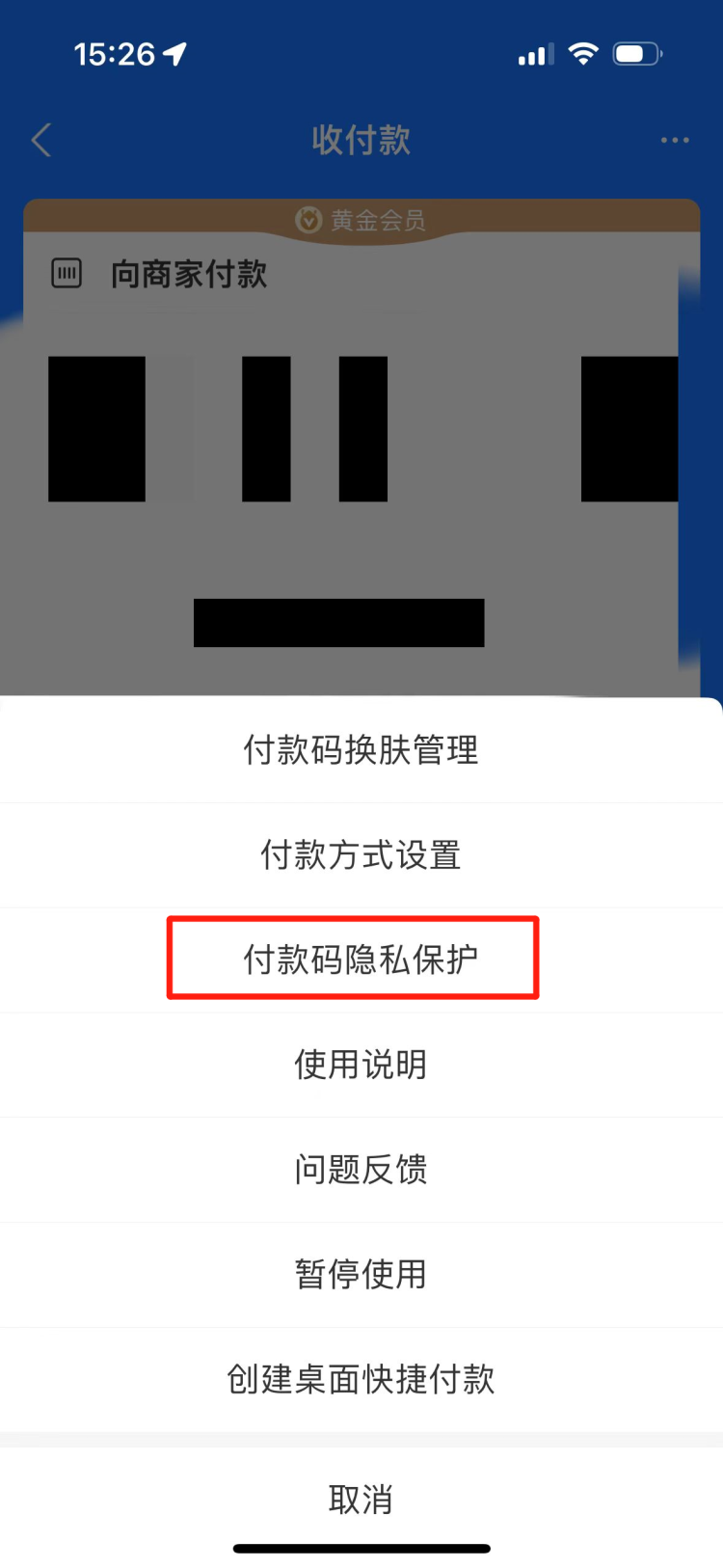 支付宝自动隐藏付款码怎么弄 支付宝付款码隐私保护功能开关设置