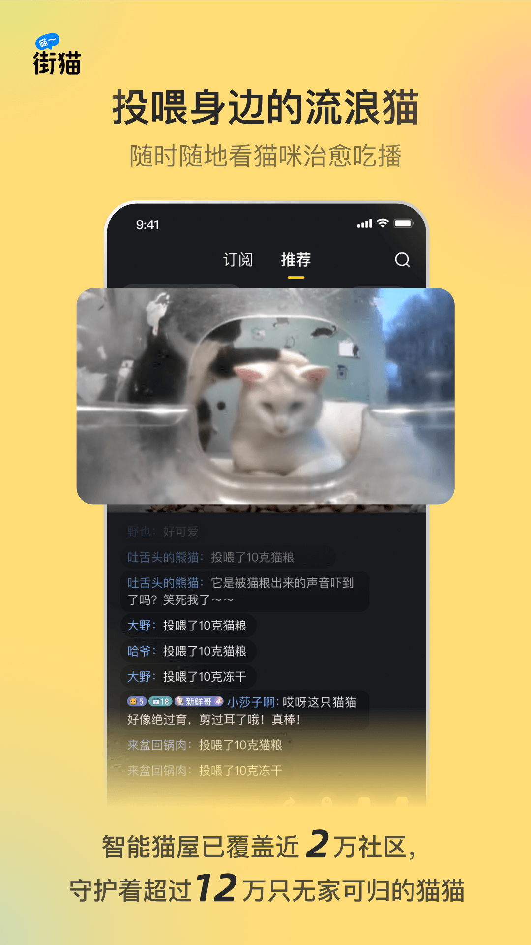 街猫截图